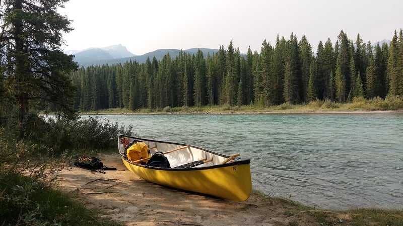 Family canoeing in a river